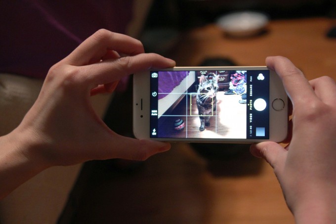 new-jessie-char-cat-happy