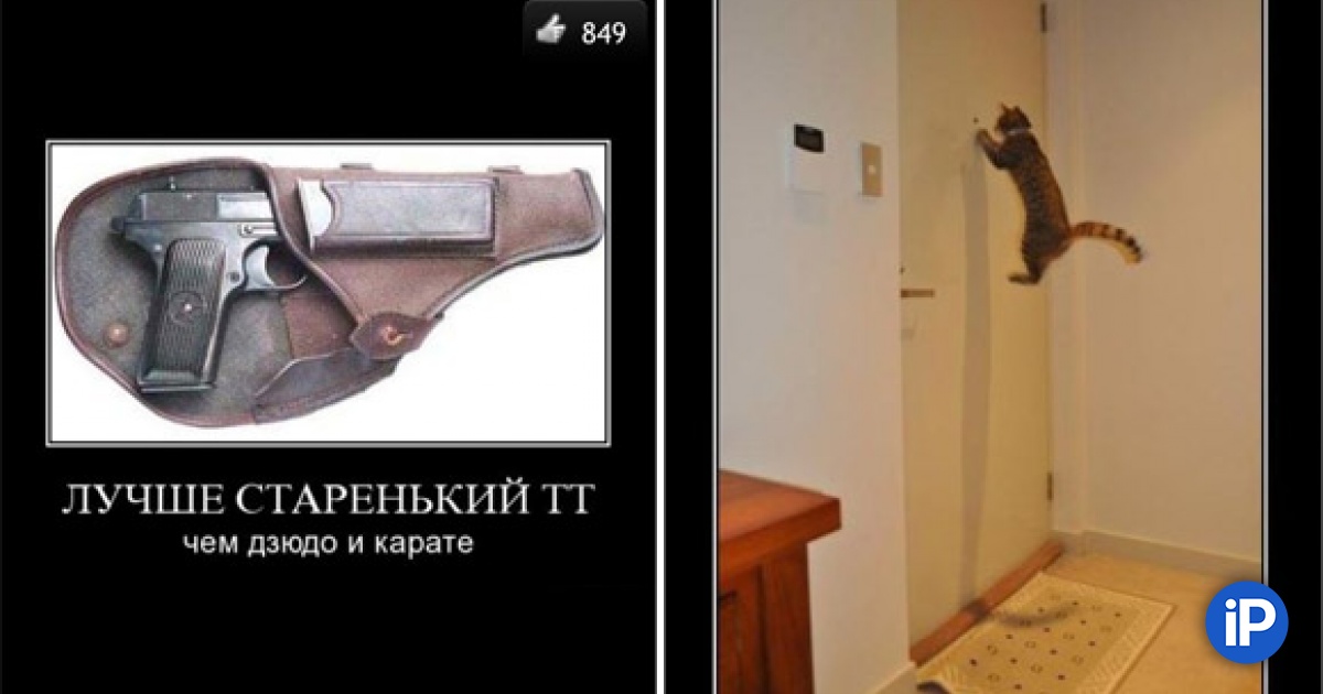 Idaprikol ru картинки прикольные