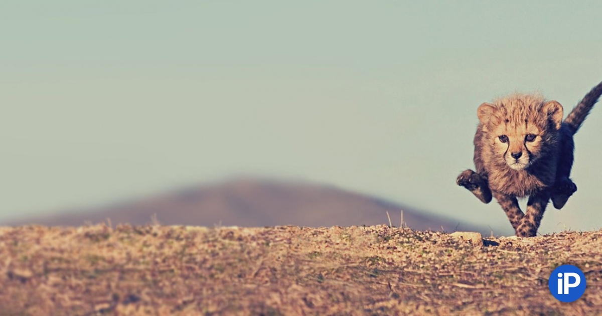 kak natrenirovat silu vynoslivost i