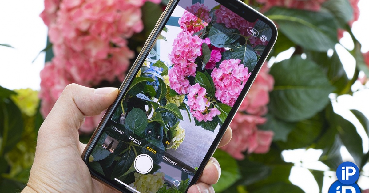 fbimg.php?img=https%3A%2F%2Fwww.iphones.