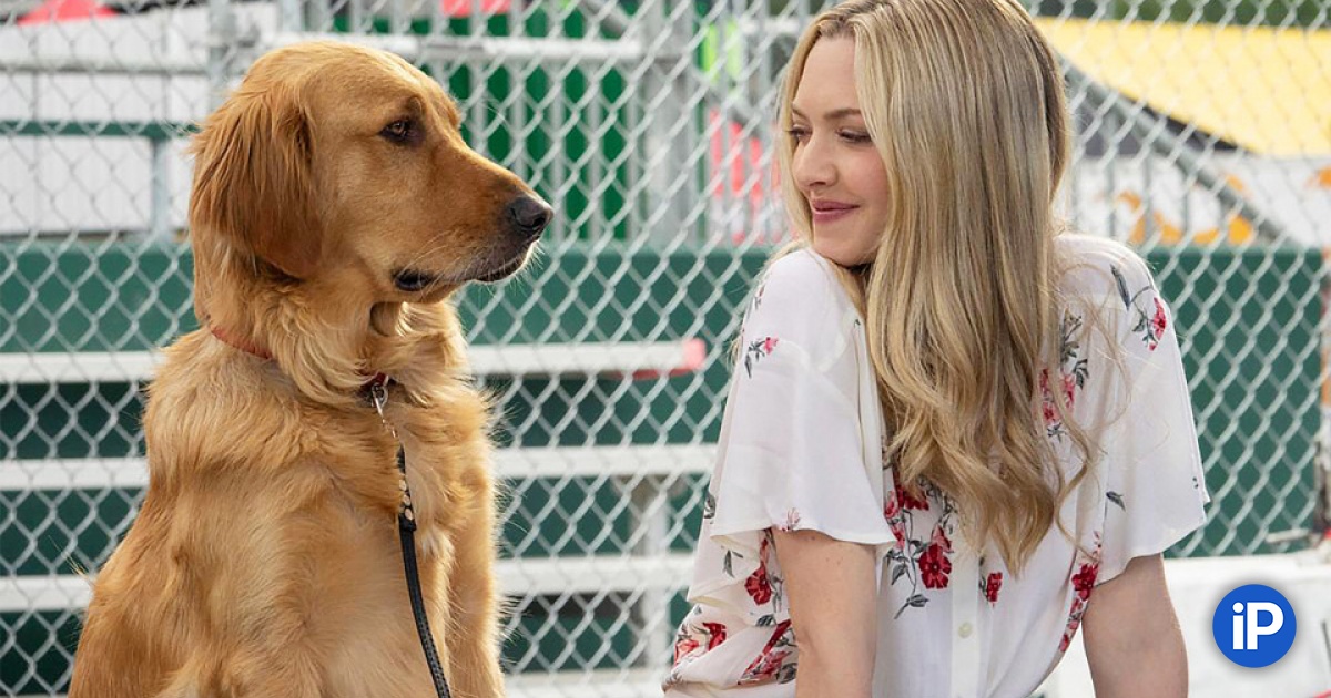 fbimg.php?img=https%3A%2F%2Fwww.iphones.