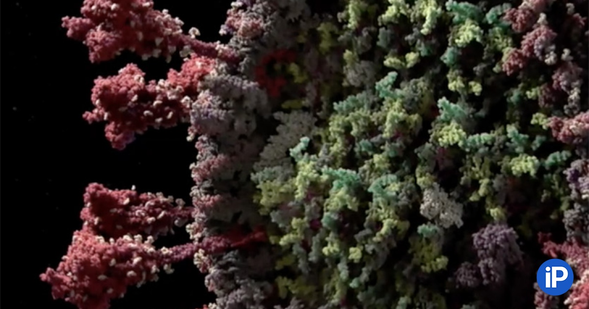 fbimg.php?img=https%3A%2F%2Fwww.iphones.