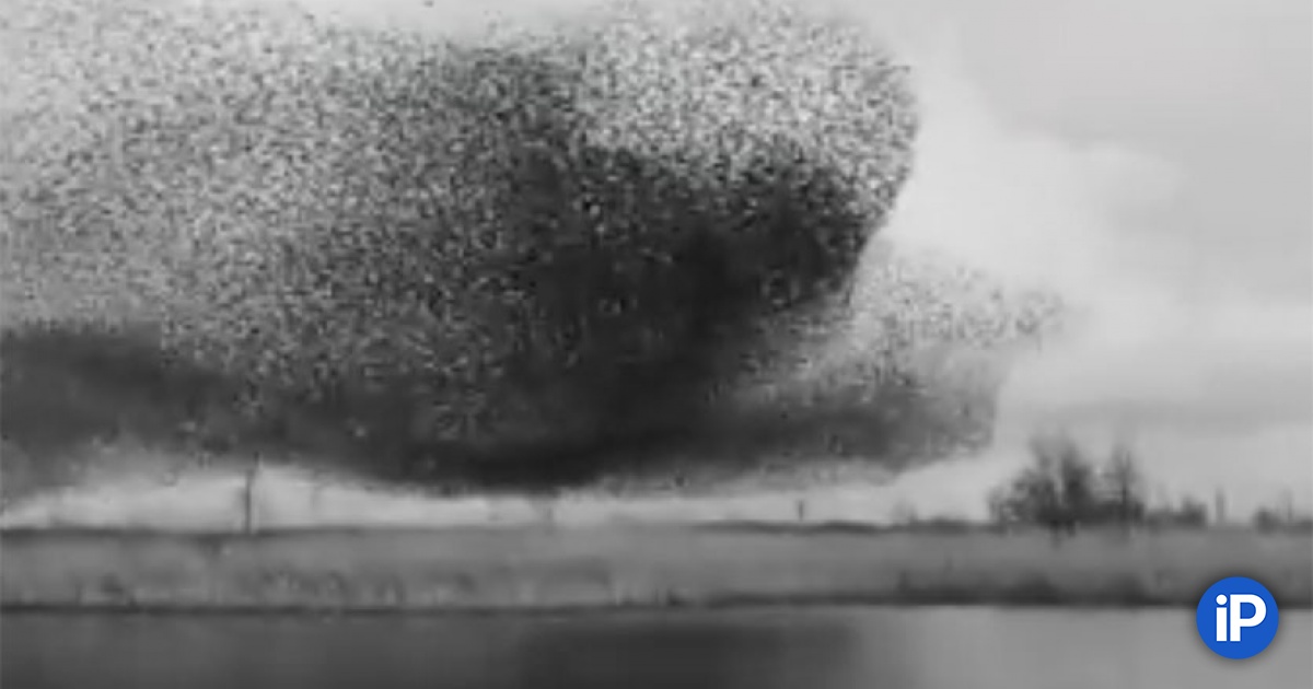 fbimg.php?img=https%3A%2F%2Fwww.iphones.