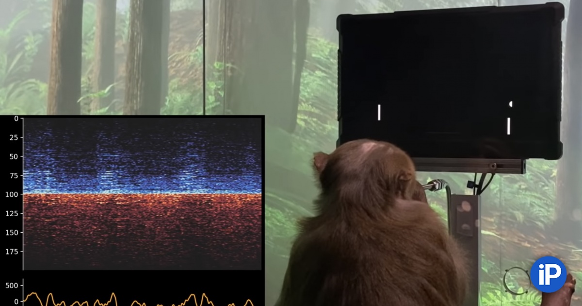 fbimg.php?img=https%3A%2F%2Fwww.iphones.