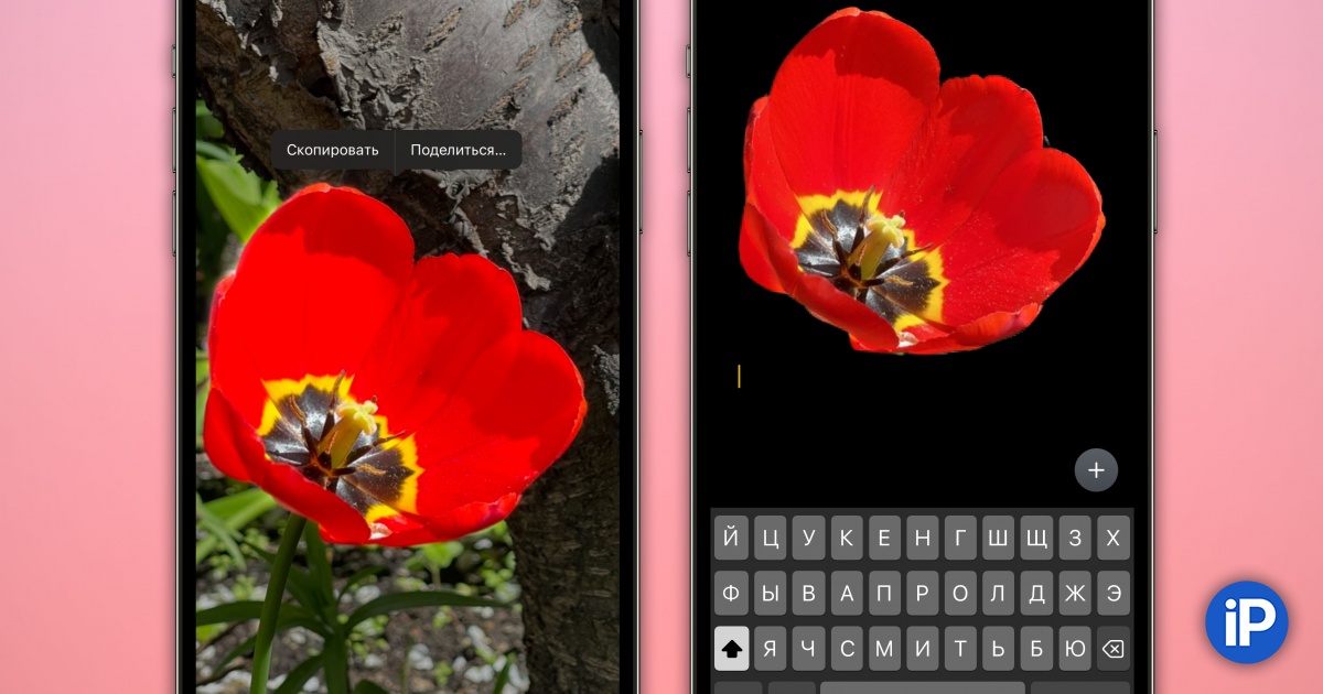 Как удалить приложение с айфона. Удаленные фото в ios. Как удалить ios на айфоне. Как удалить предмет на фото ios 18. Интерфейс ios 16.
