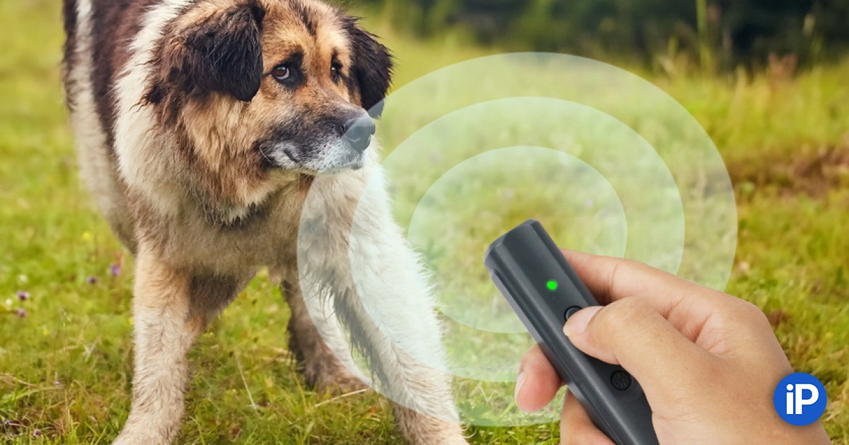 fbimg.php?img=https%3A%2F%2Fwww.iphones.