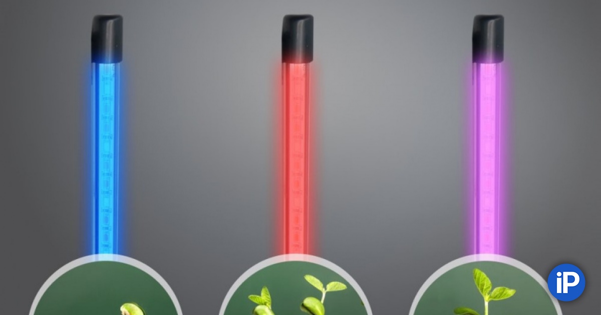 fbimg.php?img=https%3A%2F%2Fwww.iphones.