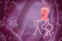 [App Store pre-Release] Cardio, THOR и Legion of Amon