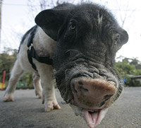 Aquarius-1 Aquarius-1