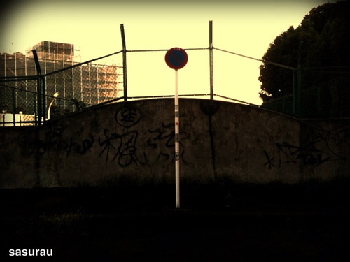 12-photo-frog-3gs 12-photo-frog-3gs