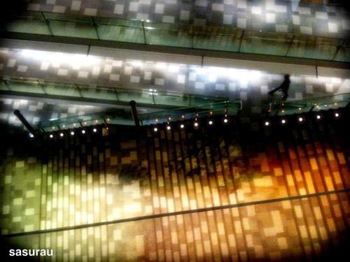 13-photo-frog-3gs 13-photo-frog-3gs