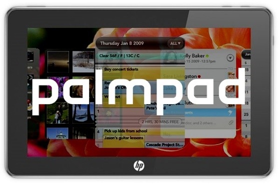 03_palmpad