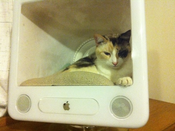 Домик для кошки