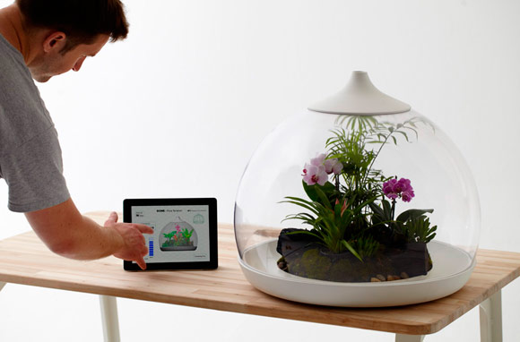 Ухаживай за растением с помощью iOS-устройства