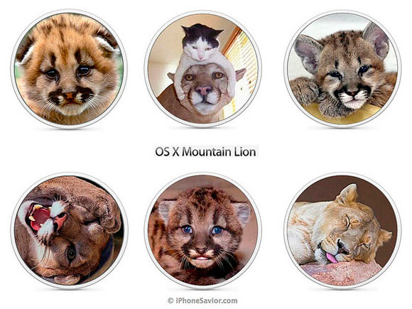 Особенности Mountain Lion: Обновление ПО и отказ в поддержке старых Mac