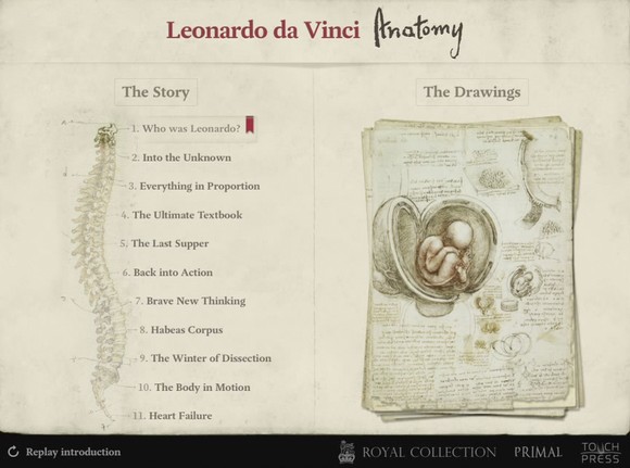 Leonardo da Vinci: Anatomy