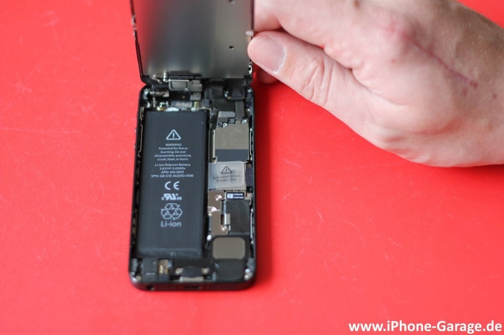 iPhone 5 разобрали до винтиков