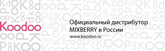 Купить Mixberry Backup Case MIB 200