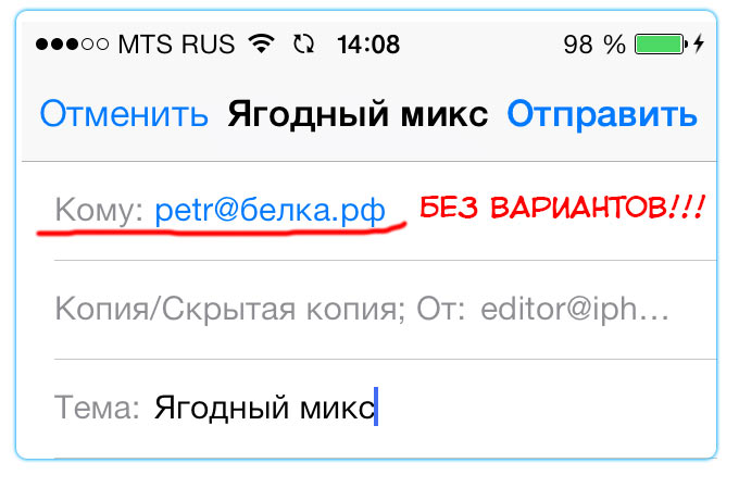 Почтовый клиент iOS 7 не отправляет почту на кириллические РФ-домены