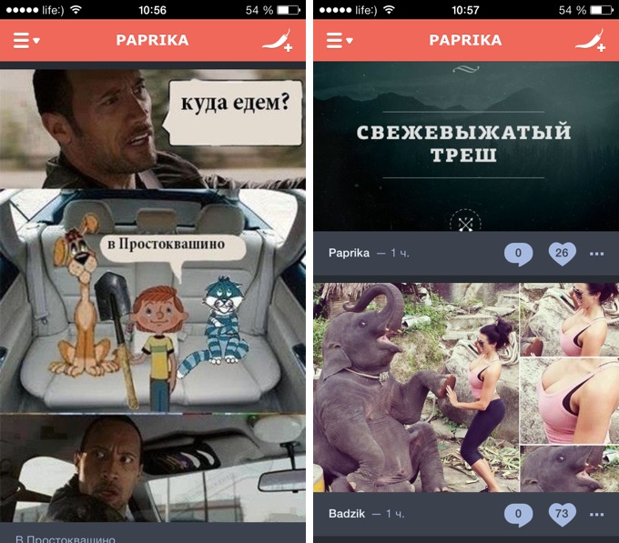 Paprika. Сборник мемов, смешных картинок и видеороликов