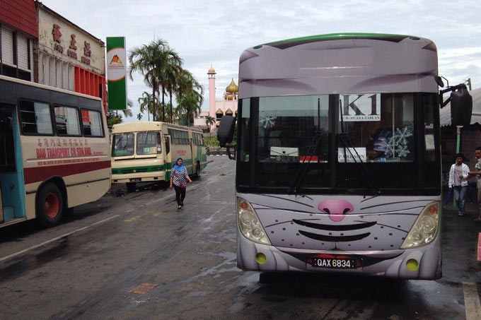 19-cat-bus