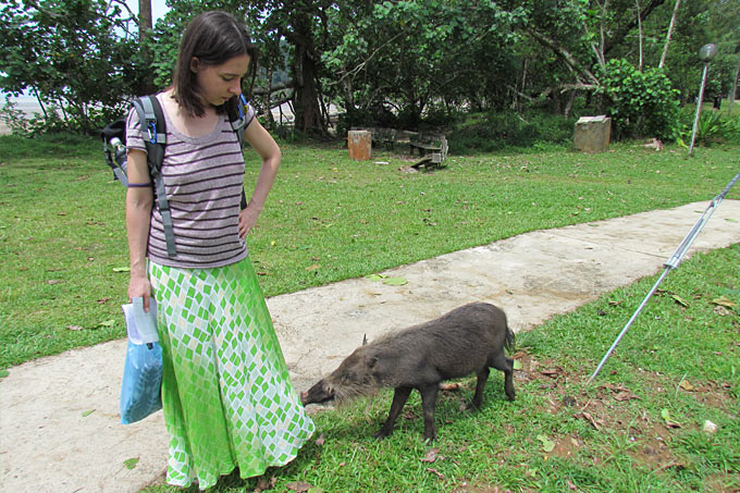 21-pumbas-brothers-2