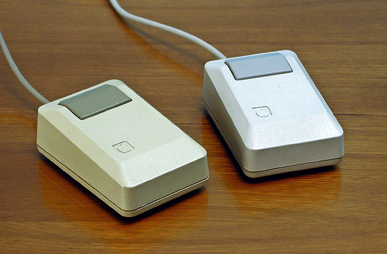 02-8-Aoole-Old-Mouse