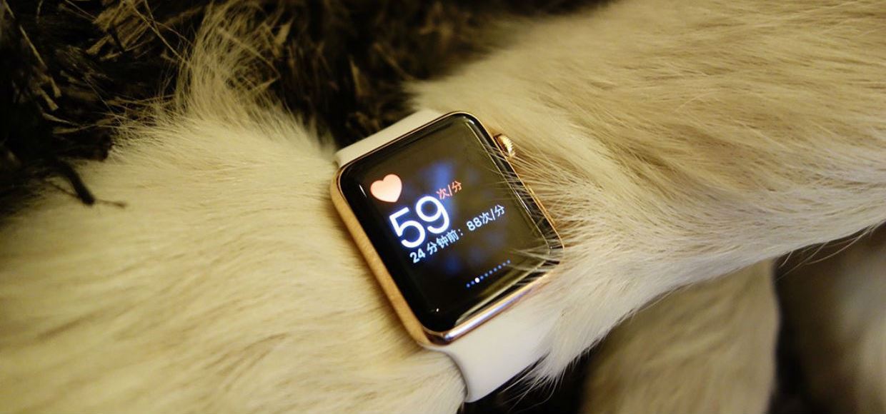 У собаки есть Apple Watch Edition, а у тебя нет