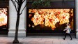 Apple преобразила бутик Лондона в цветочную оранжерею