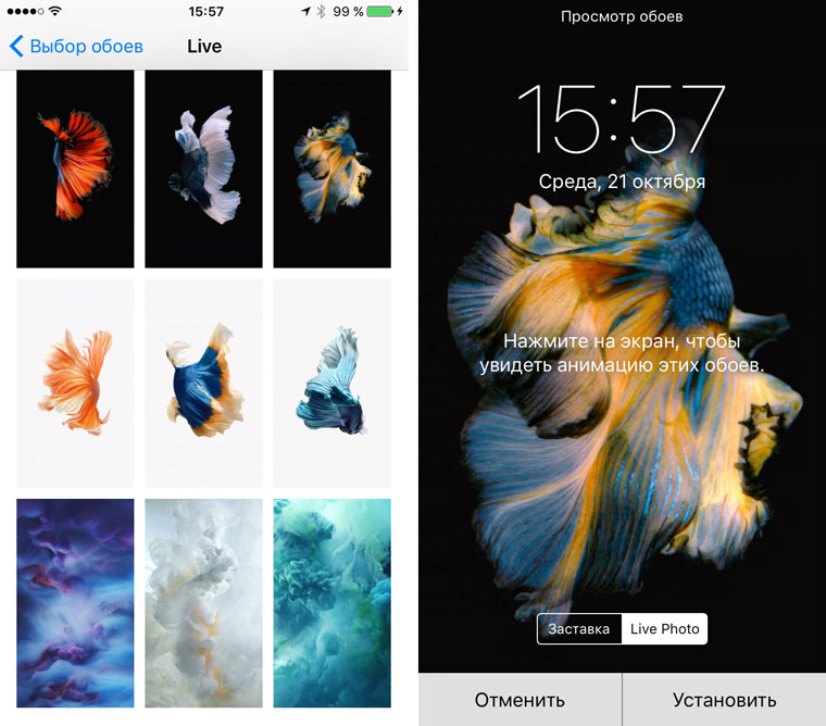 Live обои айфон. Как установить живые обои на айфон. Живые обои на айфон. Live обои для iphone. Как поставить живые обои на айфон.