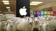 Apple Store в США массово обновляет штат