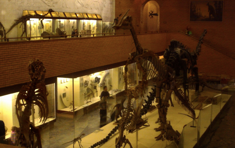 paleontology_museum