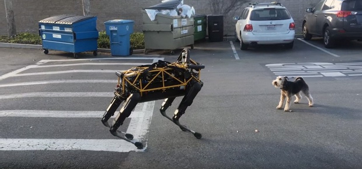 Робот-собака от Google играет с настоящей собакой [видео]