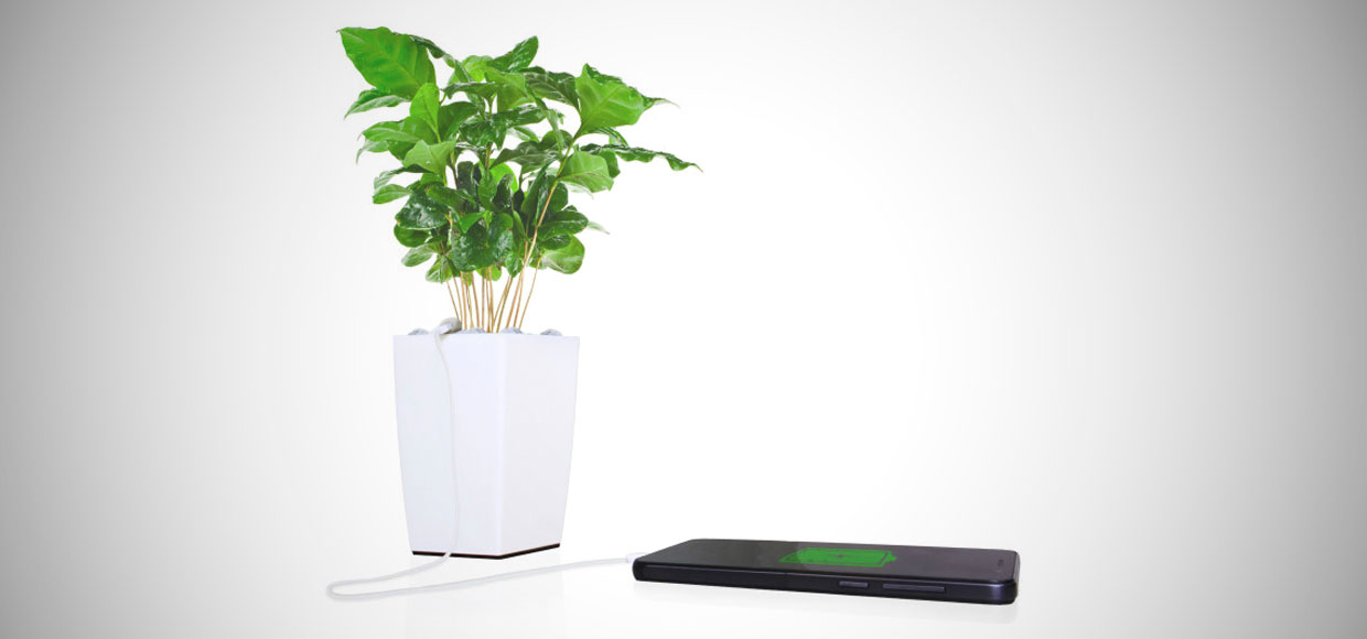 Bioo Lite: цветок, который зарядит iPhone