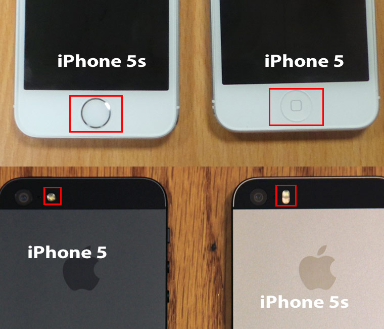 Как узнать какой у меня айфон. Айфон 5 и 5s отличия. Айфон 5 и 5s отличия внешние. Айфон 5 и айфон 5s. Iphone 5 и iphone 5s различия.