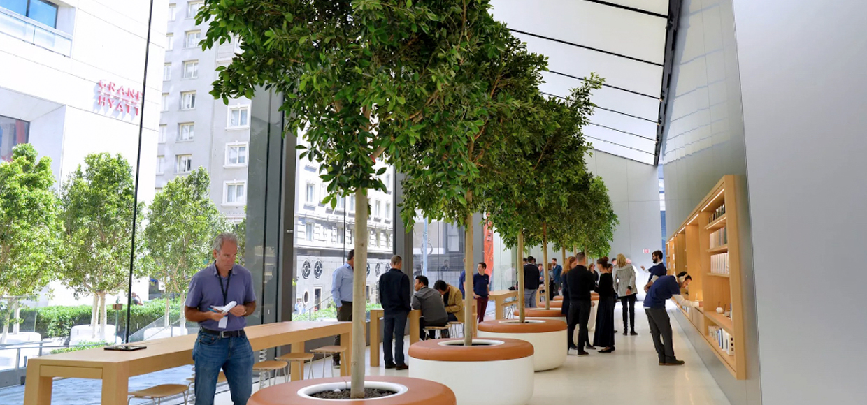 Фото нового Apple Store, который претендует на магазин будущего