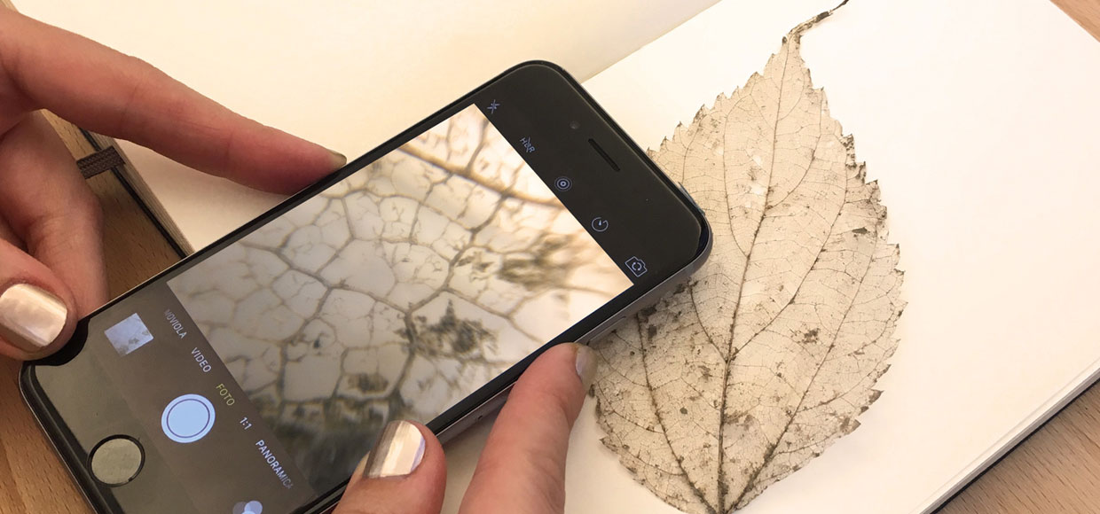 Линза Blips превратит iPhone в микроскоп с увеличением в 100 раз