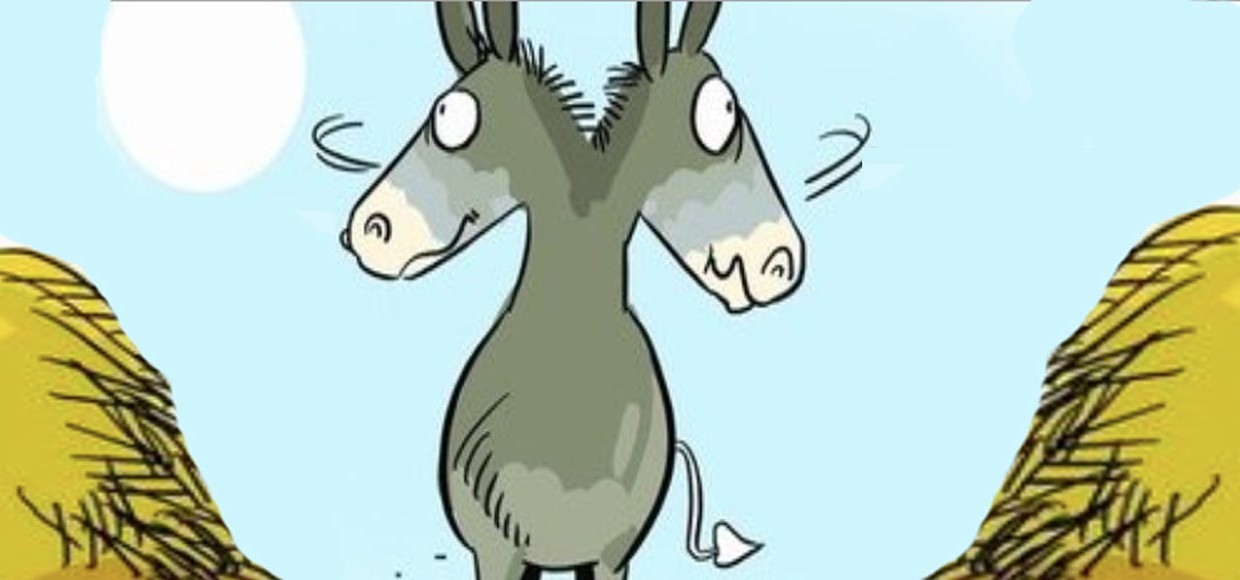 Видишь, что кто-то ведет себя как осел? Подари ему промокод! 