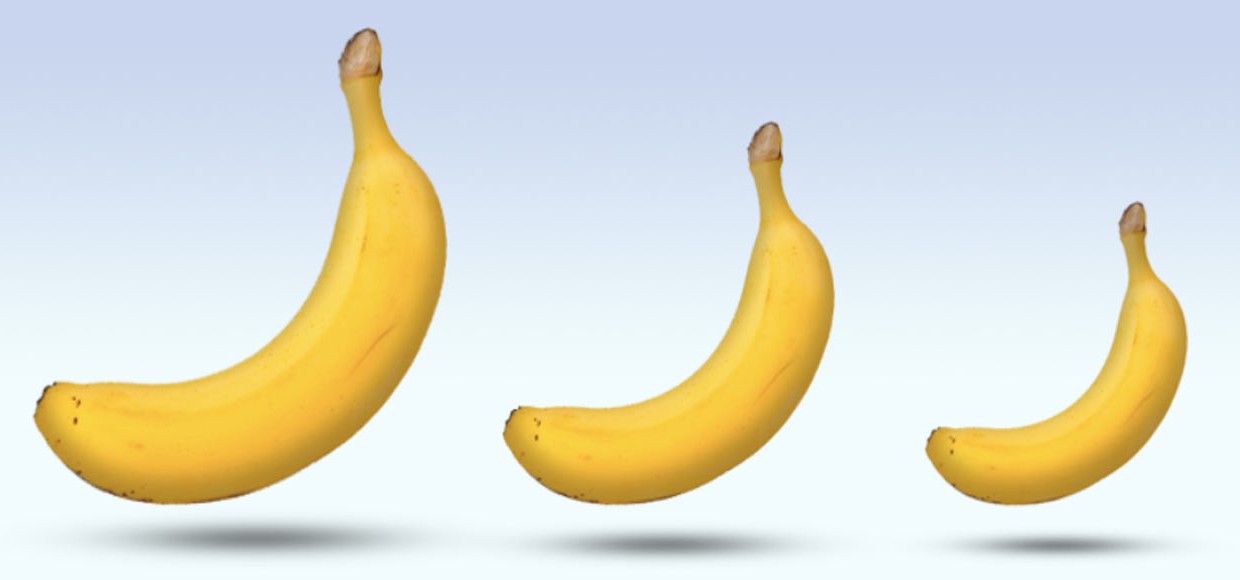 5 сайтов для любителей фаллометрии 