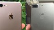 Сравнение корпусов iPhone 7 и 7 Plus