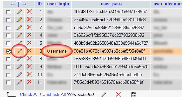 wp_mysql_database