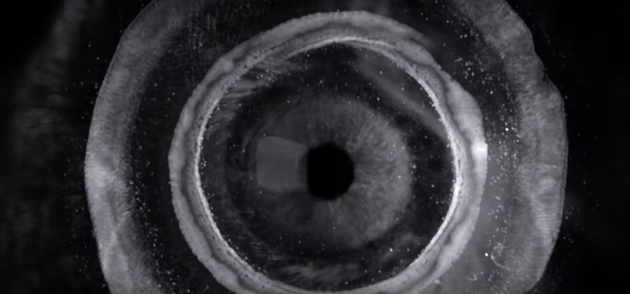 Apple опубликовала рекламный ролик с iPhone 7 Plus в стиле хоррор 