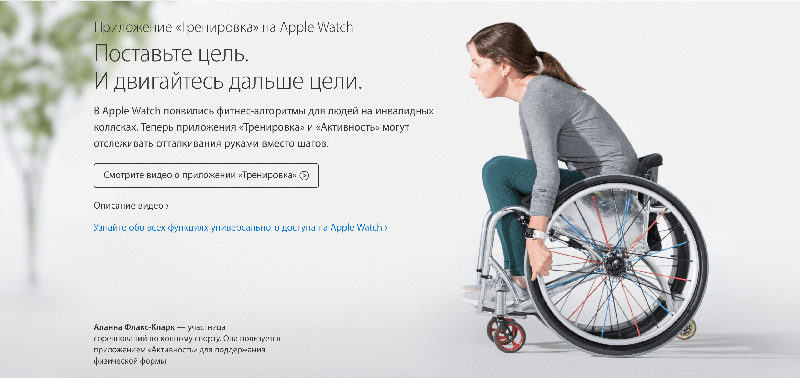 Снимок экрана 2016-11-11 в 13.59.06