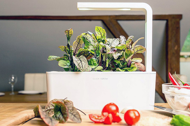 Как вырастить землянику, базилик и помидоры с помощью iPhone (умный сад Click and Grow)