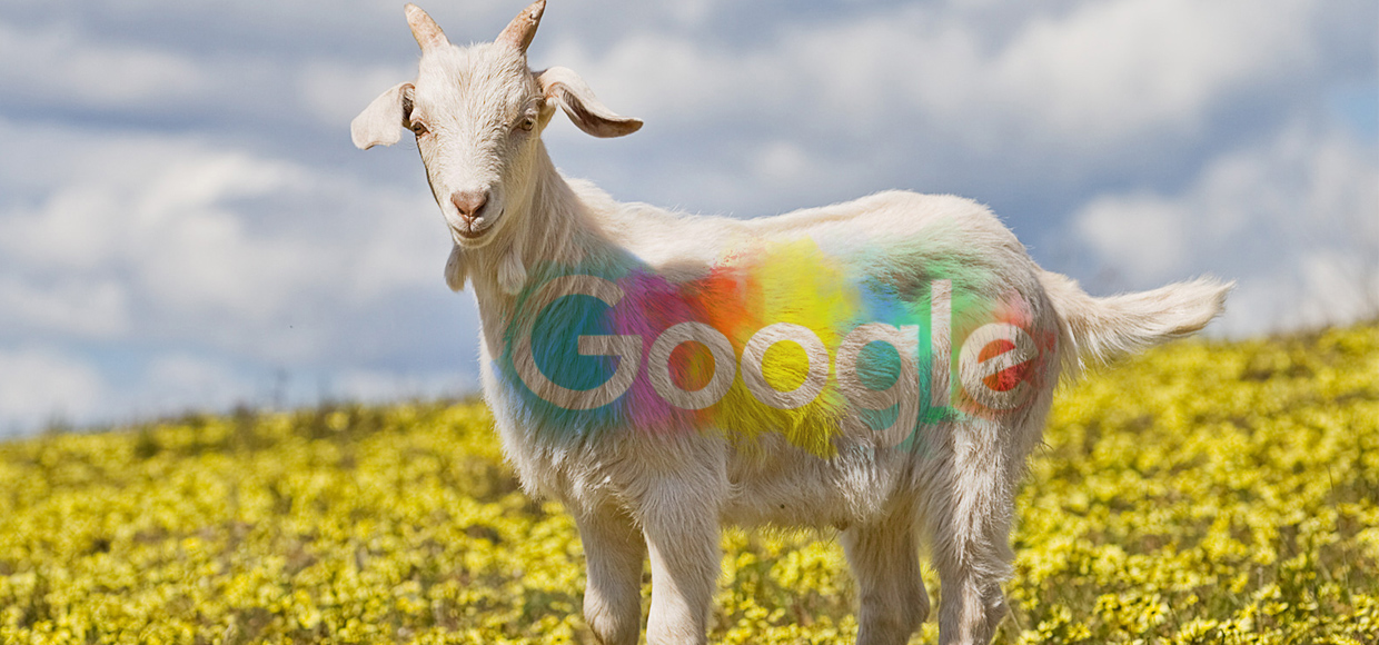 Там работают козлы, и ещё 20 фактов о компании Google