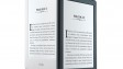 Почему Apple должна выпустить i-читалку и убить iPad mini