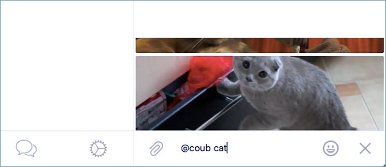 coudb_cat