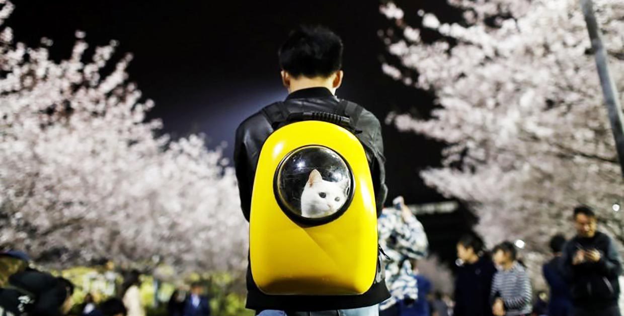 15 потрясных вещей и гаджетов с AliExpress 