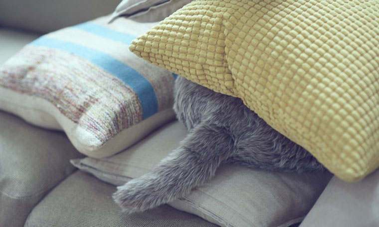 Японцы изобрели подушку Qoobo, которая заменит кота