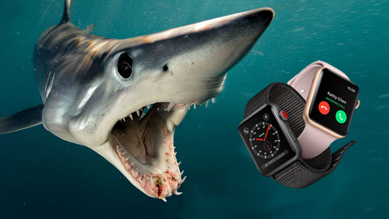 Apple Watch спасли кайтсерфера от белых акул